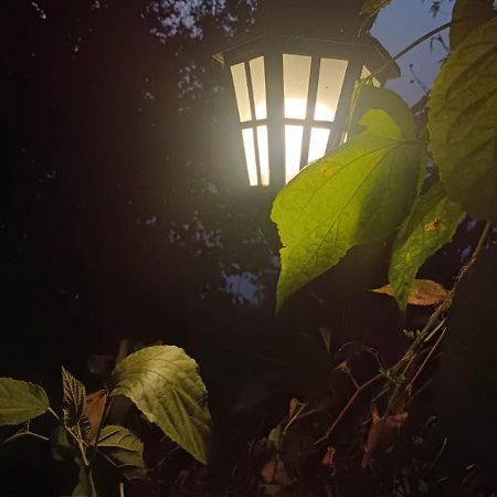 Aam'S Courtyard Hotel Kalimpong Bagian luar foto