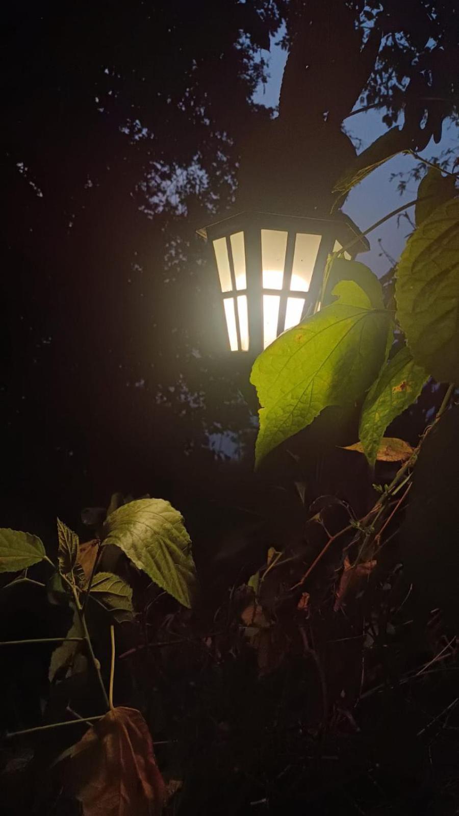 Aam'S Courtyard Hotel Kalimpong Bagian luar foto
