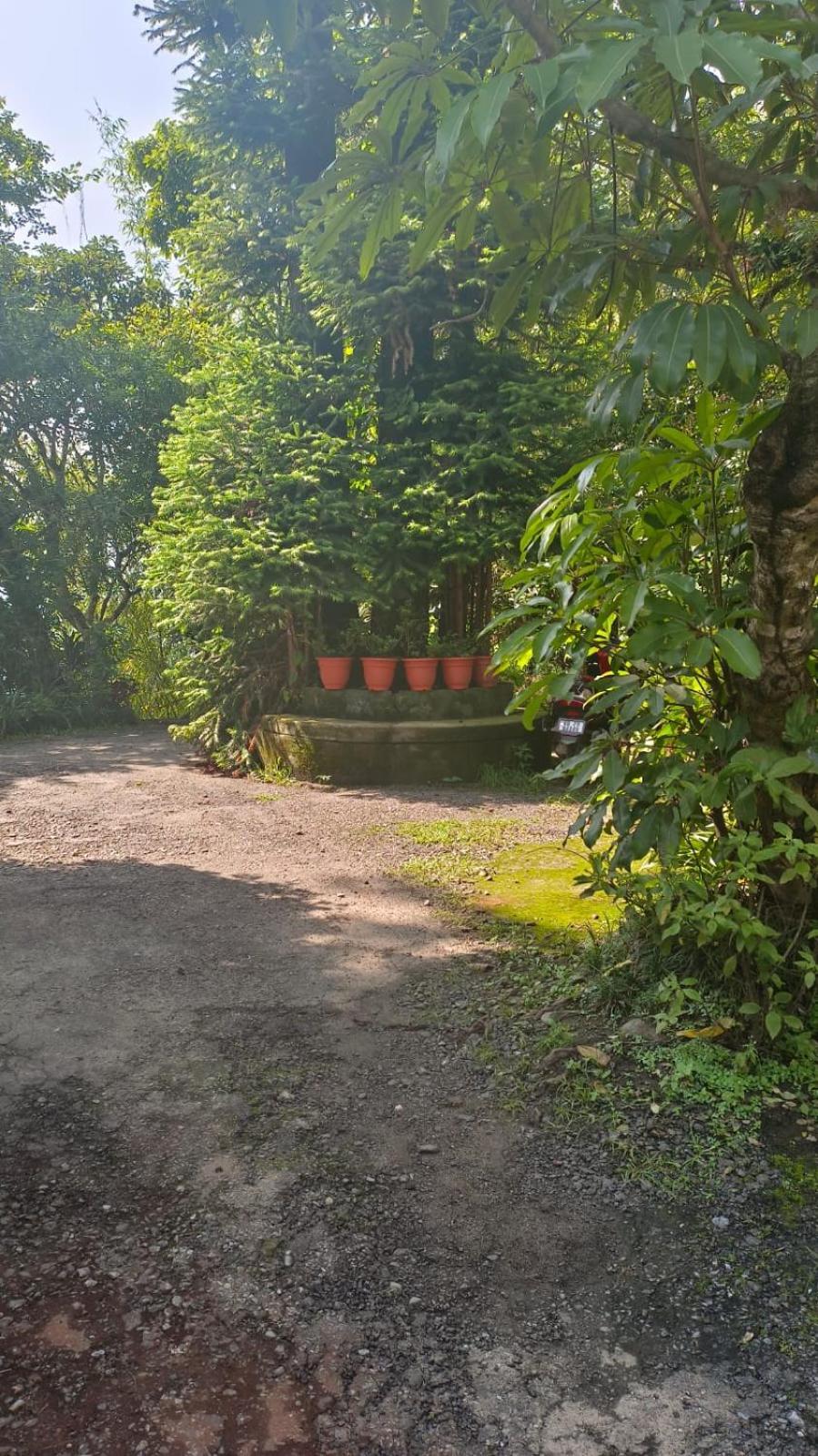 Aam'S Courtyard Hotel Kalimpong Bagian luar foto