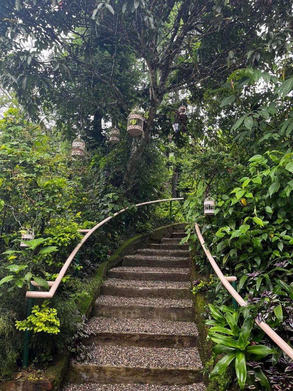 Aam'S Courtyard Hotel Kalimpong Bagian luar foto