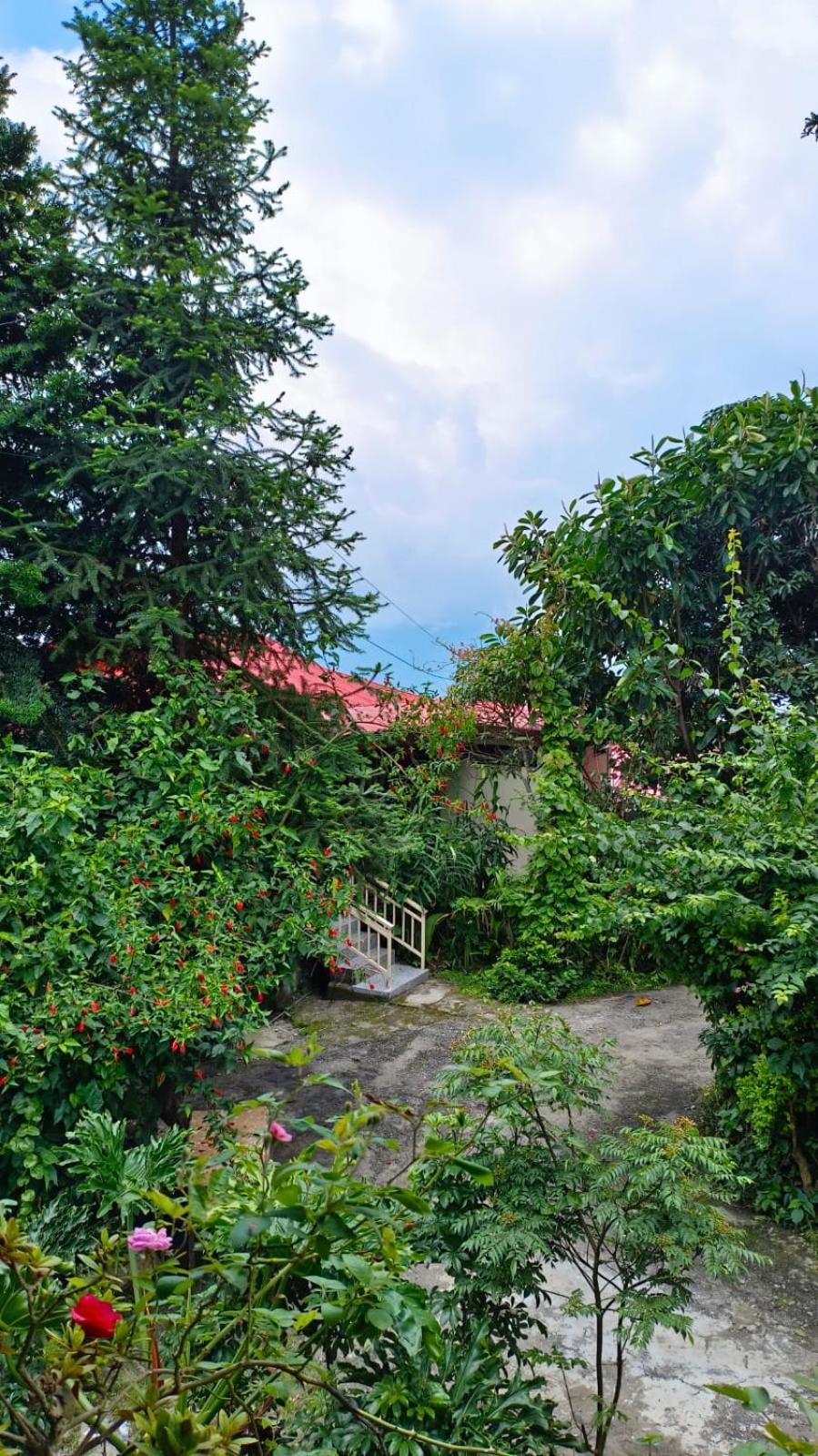 Aam'S Courtyard Hotel Kalimpong Bagian luar foto